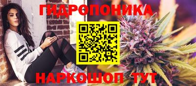 стафф Берёзовский