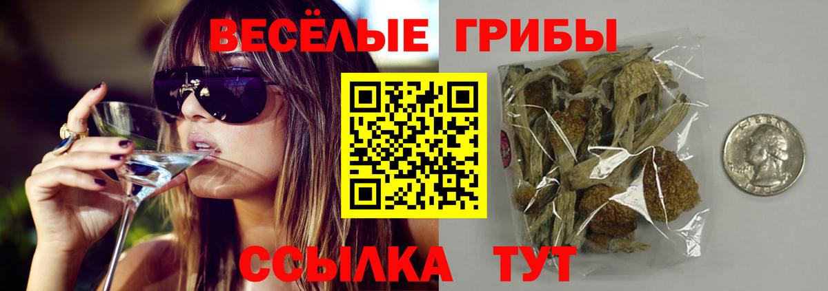 Псилоцибиновые грибы MAGIC MUSHROOMS Грозный
